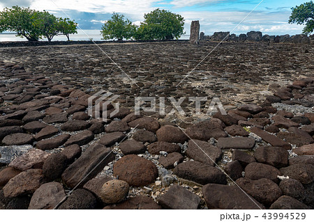 Taputapuatea Marae of Raiatea French polynesia  43994529
