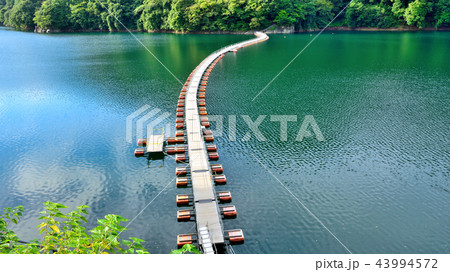 ＜奥多摩湖＞　麦山浮橋（ドラム缶橋）　（アスペクト比16：9）　東京都西多摩郡奥多摩町 43994572