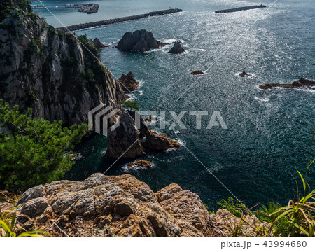 浦富海岸(千貫松島) 浦富海岸(千貫松島) 43994680