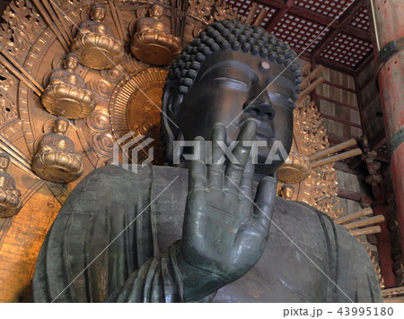 奈良　東大寺 43995180