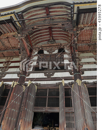 奈良 東大寺 奈良 東大寺 43995278