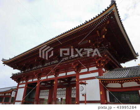 奈良　東大寺 43995284