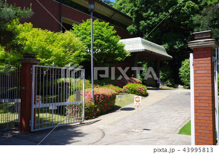 呉市美術館の正門と玄関ホール 43995813