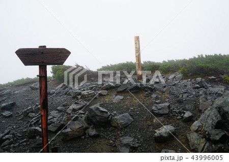 蝶が岳　頂上 43996005