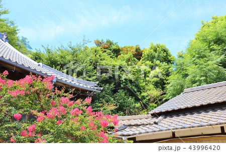 鞆の浦 小松寺 鞆の浦 小松寺 43996420
