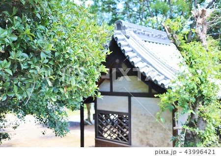 鞆の浦 小松寺 鞆の浦 小松寺 43996421