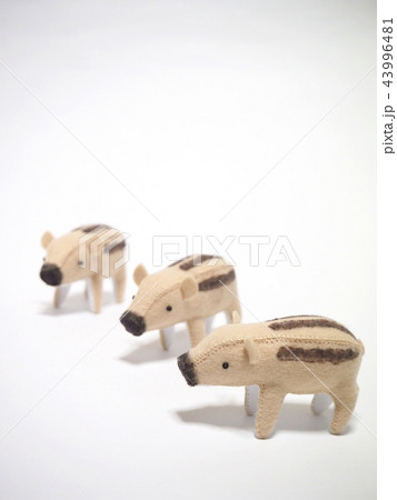 フェルト作品　うり坊 43996481