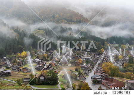 秋の白川郷一斉放水 秋の白川郷一斉放水 43996493