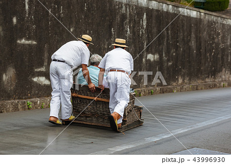 Toboggan riders on sledge Madeira Portugal Toboggan riders on sledge Madeira Portugal 43996930