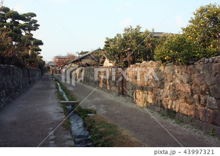 島原武家屋敷街水路 43997321