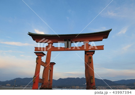 宮島 厳島神社 宮島 厳島神社 43997394