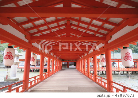 宮島 厳島神社 43997673