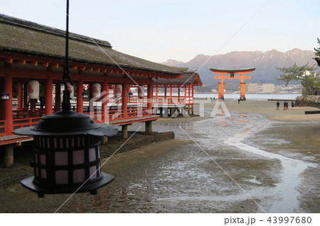 宮島 厳島神社 43997680