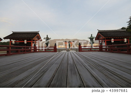 宮島 厳島神社 宮島 厳島神社 43997681