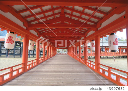 宮島 厳島神社 宮島 厳島神社 43997682