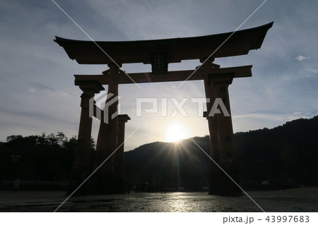 宮島 厳島神社 宮島 厳島神社 43997683