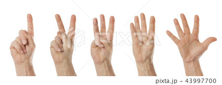 Counting hands (1 to 5) 43997700