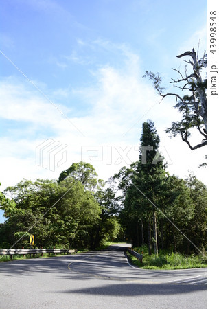 太平山 台湾 強い 43998548