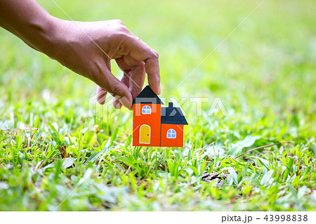 home model on grass background home model on grass background 43998838