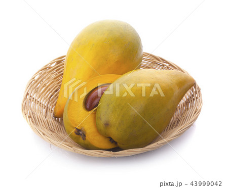 Egg fruit, Canistel, Yellow Sapote(Kunth) 43999042