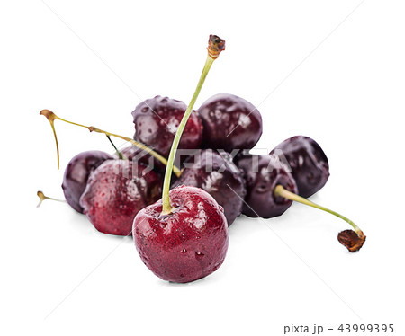 Cherry. Cherries with leaves isolated on white  43999395