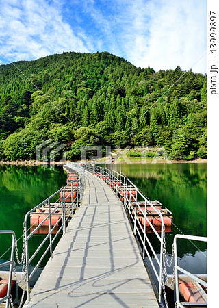 ＜奥多摩湖＞　留浦浮橋（ドラム缶橋）　東京都西多摩郡奥多摩町 43999897