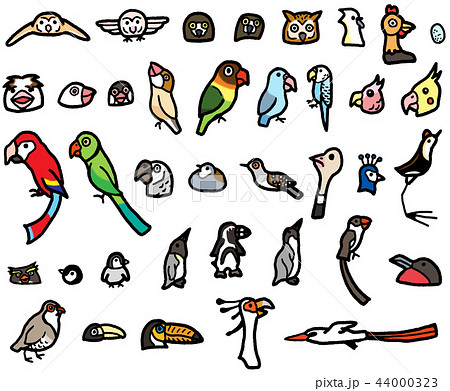 Bird Clip Art Set with Penguin, Owl, Ostrich, Stork, and Pigeons. Bird  Vector Clip Art Set with Penguin, Owl, Ostrich Stock Illustration -  Illustration of colorful, horse: 220226753