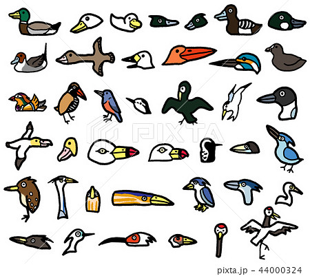 鳥 水鳥 海鳥 野鳥 サギ カモのイラスト素材