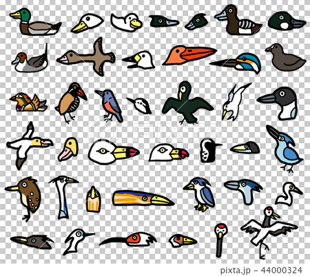 鳥水鳥海鳥野生鳥蒼鷺鴨子 鳥水鳥海鳥野生鳥蒼鷺鴨子 44000324