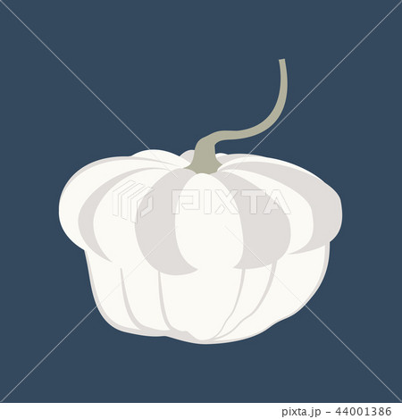 Pumpkin autumn illustration 44001386