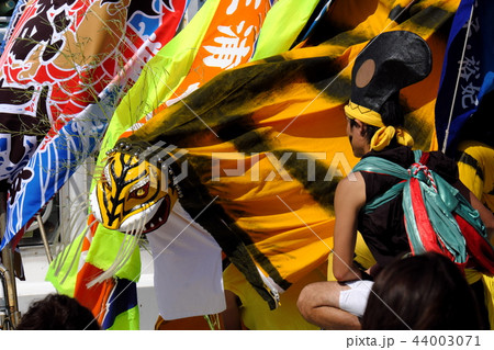 山田の秋祭り　大杉神社例大祭巡行 44003071