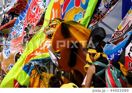 山田の秋祭り　大杉神社例大祭巡行 44003089