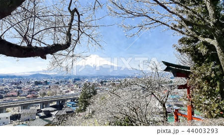 日本 ジャパン 日本国 44003293