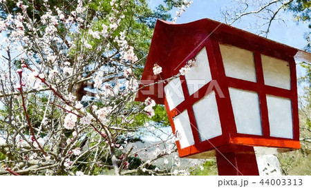 日本 ジャパン 日本国 44003313