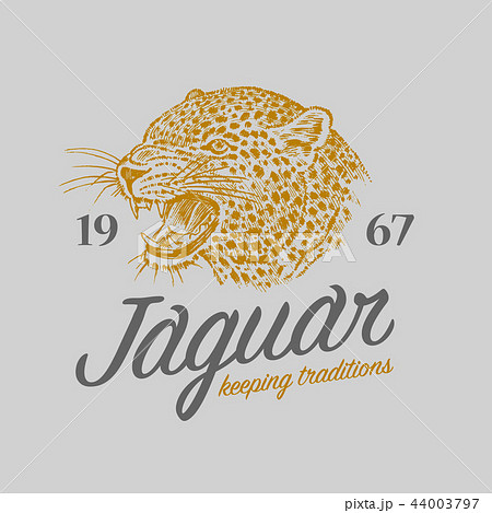 Japanese leopard logo. Asian cat. Grunge label print. Angry roar of a predator. Badge or emblem 44003797