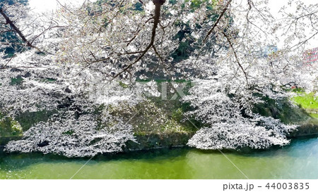 日本 ジャパン 日本国 44003835