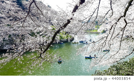 日本 ジャパン 日本国 44003854