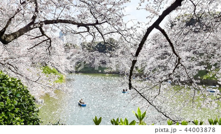 日本 ジャパン 日本国 44003878
