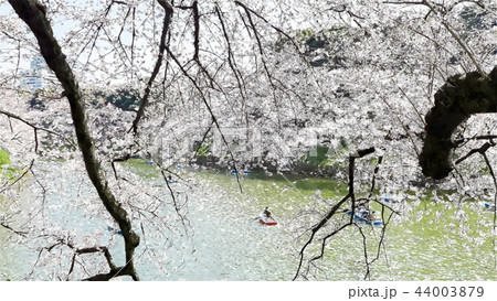日本 ジャパン 日本国 44003879