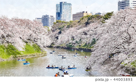 日本 ジャパン 日本国 44003893