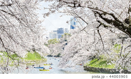 日本 ジャパン 日本国 44003903