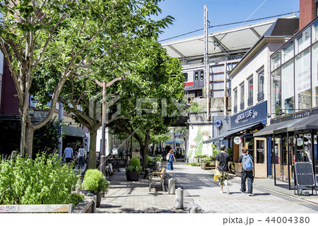 【自由が丘　九品仏川緑道】 44004380