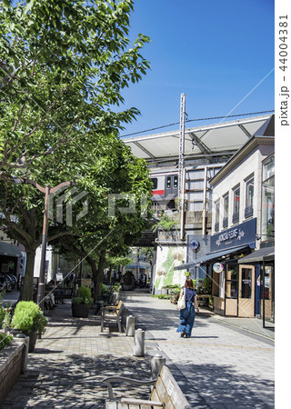 【自由が丘　九品仏川緑道】 44004381