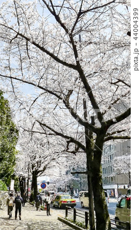 日本 ジャパン 日本国 44004399