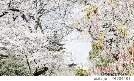 日本 ジャパン 日本国 44004403
