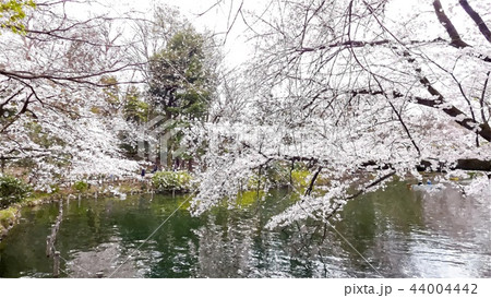 日本 ジャパン 日本国 44004442