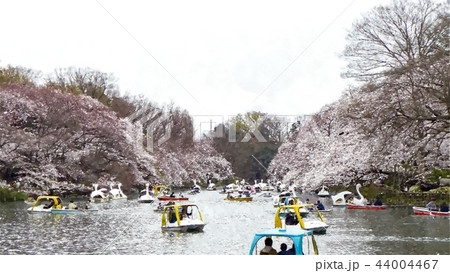日本 ジャパン 日本国 44004467