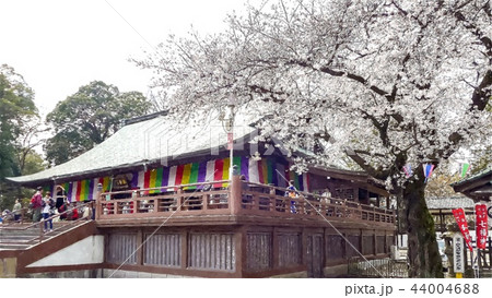 日本 ジャパン 日本国 44004688