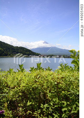 《山梨県》初夏の富士山・河口湖 《山梨県》初夏の富士山・河口湖 44005403