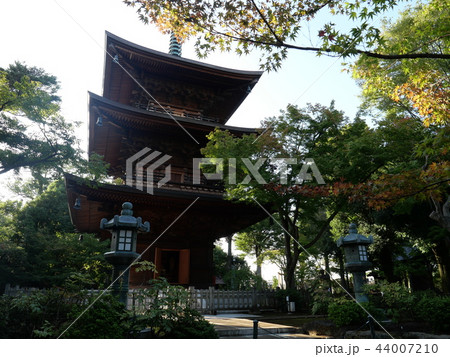 三重塔 招き猫の豪徳寺　東京都 44007210